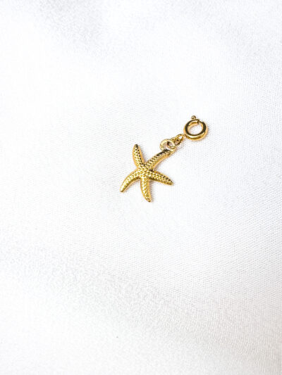 Sea Star Charm