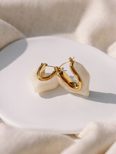 Charmila White Earrings