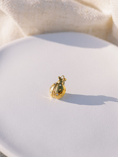 Ladybug Charm