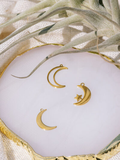 Moon Charms